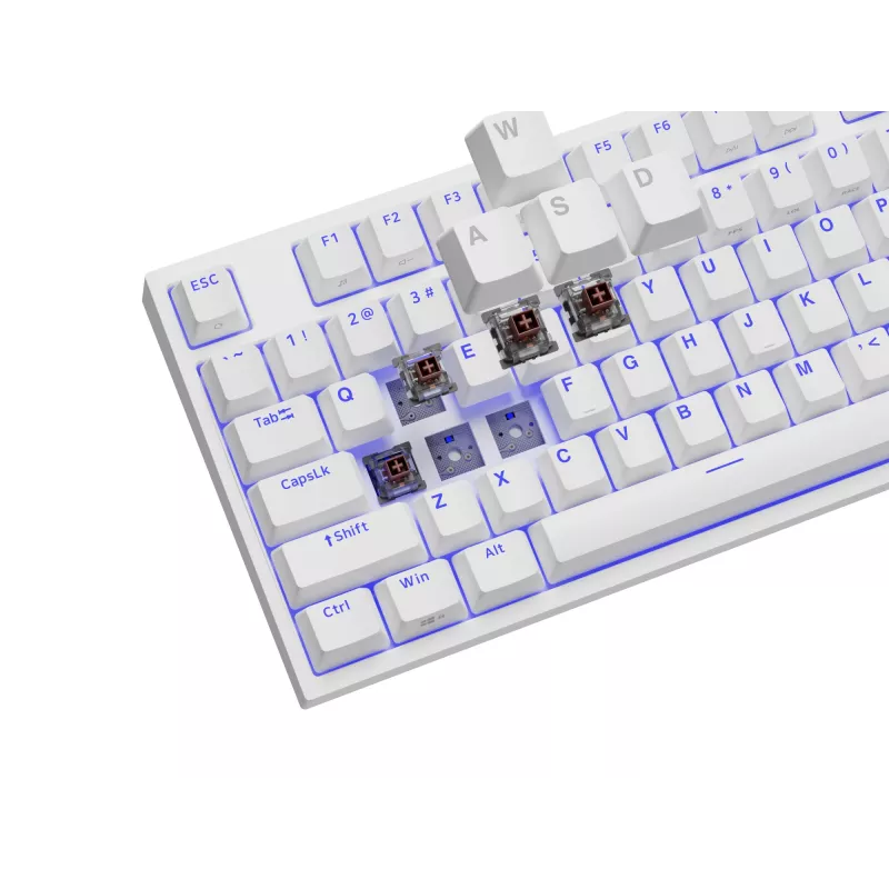 GENESIS Thor 404 TKL spēļu tastatūra USB QWERTY US International Balta