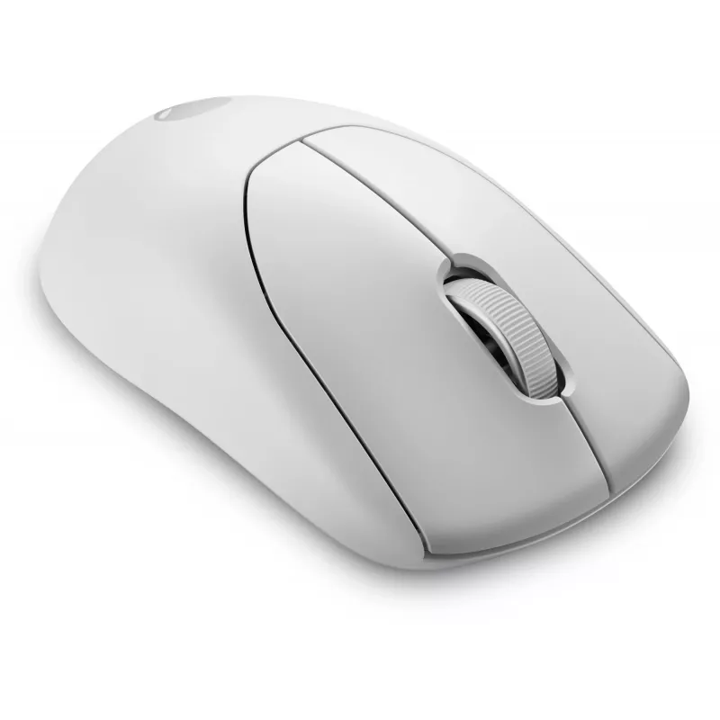 Alienware Pro Wireless Gaming pele Ambidextra RF Bezvadu + USB Type-C Optiskā 26000 DPI