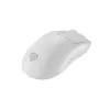 Pele GENESIS Zircon 500 Gaming, Bezvadu RF + Bluetooth + USB-C, Optiskā, 10000 DPI