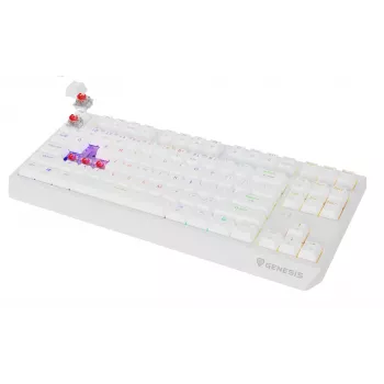 Bezvadu spēļu tastatūra GENESIS Thor 230 TKL — USB, RF bezvadu, Bluetooth, QWERTY, balta