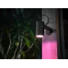 Philips Hue White un krāsu atmosfēras Lily āra prožektors