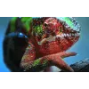 Epson EH-TW7100 Standarta metiena projektors 3000 ANSI lūmeni 3LCD UHD 4K (3840x2160) 3D Balts