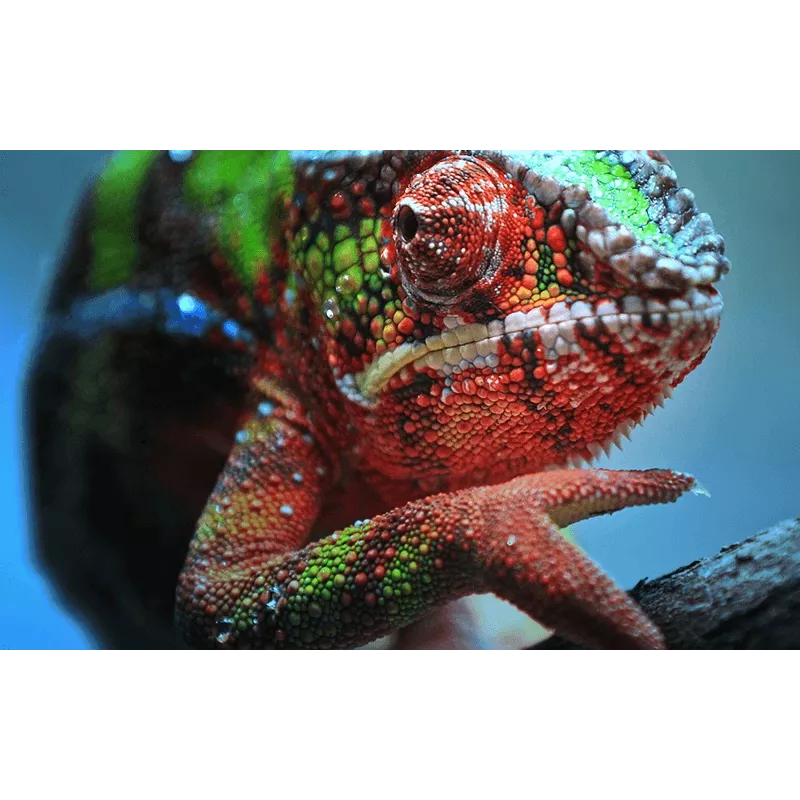 Epson EH-TW7100 Standarta metiena projektors 3000 ANSI lūmeni 3LCD UHD 4K (3840x2160) 3D Balts