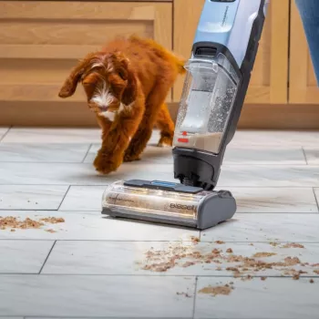 Bissell CrossWave EdgeFind Select vertikālais putekļsūcējs, slapjā un sausā tīrīšana, bezmaiss, 340 W, melns/zils
