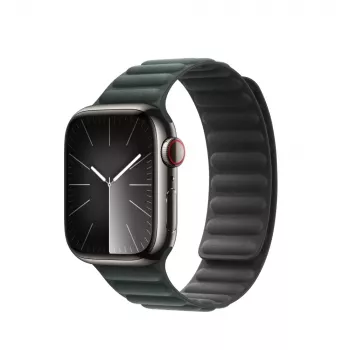 Apple 41mm Evergreen Magnetic Link M/L siksniņa zaļā krāsā