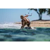 Austiņas Shokz OpenSwim Pro — atvērtā tipa kaulu vadības bezvadu austiņas, IP68 ūdensizturīgas, Bluetooth 5.4, 32 GB, 9 h atskaņošana, pelēka