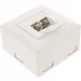 InLine Cat.6 sienas kontaktligzdu kārba 2x RJ45 horizontāli – virsmas vai iegremdētai montāžai