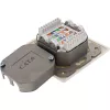 InLine Cat.6 sienas kontaktligzdu kārba 2x RJ45 horizontāli – virsmas vai iegremdētai montāžai