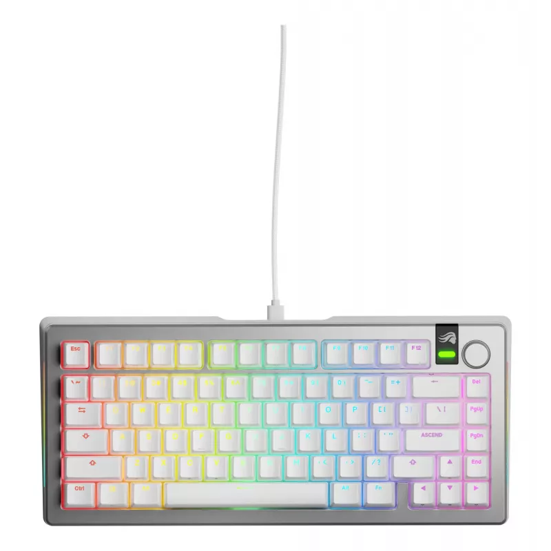 Mehāniskā spēļu tastatūra GLORIOUS GMMK 3 PRO 75% Wired USB QWERTY RGB Silver (US)