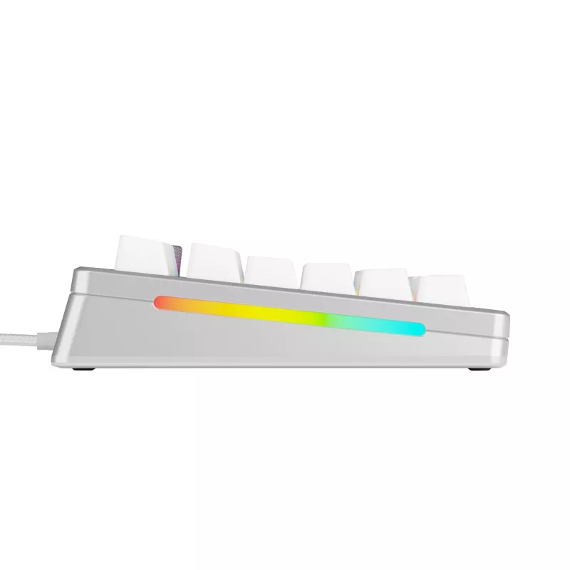 Mehāniskā spēļu tastatūra GLORIOUS GMMK 3 PRO 75% Wired USB QWERTY RGB Silver (US)