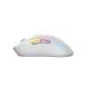 Glorious Gaming Glorious Model D 2 Wireless - Mati Balts, Labā roka, RF Bezvadu, 19000 DPI, Balts