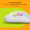 Glorious Gaming Glorious Model D 2 Wireless - Mati Balts, Labā roka, RF Bezvadu, 19000 DPI, Balts