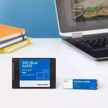 WESTERN DIGITAL SSD WD Blue SA510 250GB SATA 6Gb/s M.2 2280