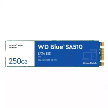 WESTERN DIGITAL SSD WD Blue SA510 250GB SATA 6Gb/s M.2 2280