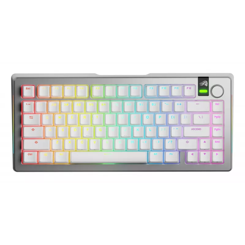 Mehāniskā tastatūra GLORIOUS GMMK 3 PRO 75% Prebuilt Wireless, USB + RF + Bluetooth, QWERTY, Sudraba
