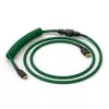 Glorious Gaming GMMK Coiled Cable Forest Rain, zaļš, 1.4 m, 1 gab.