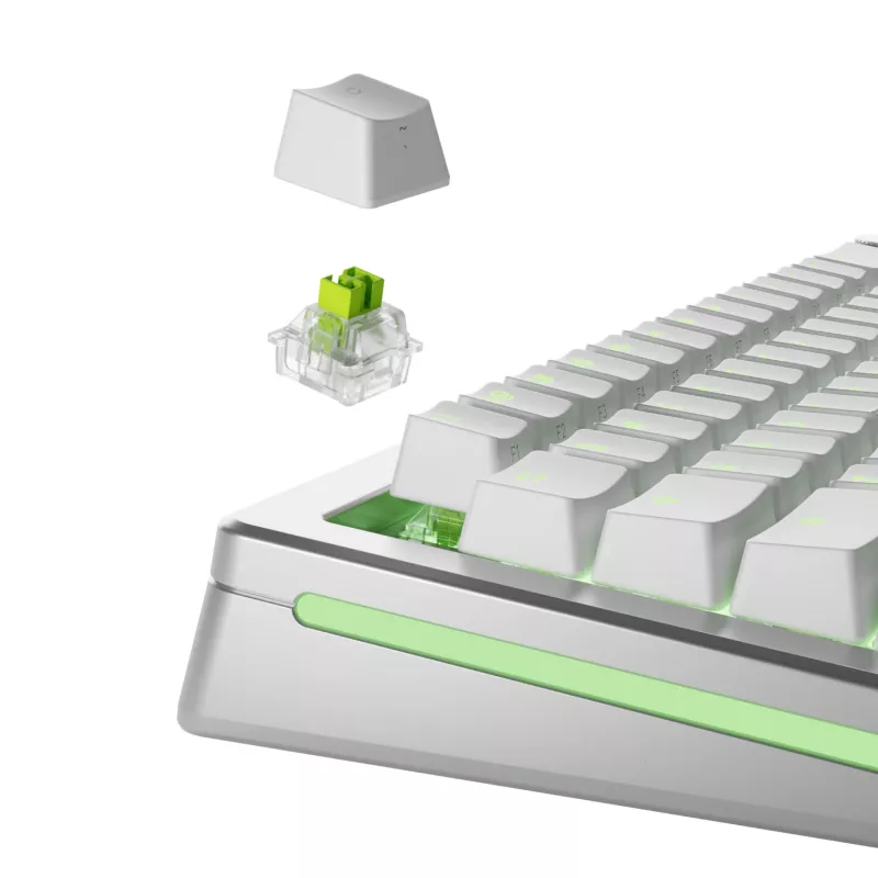 Slēdži tastatūrai GLORIOUS Raptor HE — 36 gab., polikarbonāts, gaiši zaļi caurspīdīgi, GMMK 3 HE