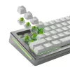 Slēdži tastatūrai GLORIOUS Raptor HE — 36 gab., polikarbonāts, gaiši zaļi caurspīdīgi, GMMK 3 HE