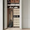 Electrolux EL61C2OG Putekļsūcējs bez maisa, zaļš