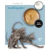3Coty mitrā barība kaķēniem, tītara gaļa ar vistu, 80 g