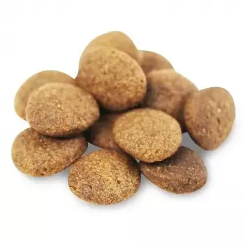 Sausā suņu barība FISH4DOGS Superior Senior Medium Salmon 12 kg, bezglutēna, vidējiem senioru suņiem