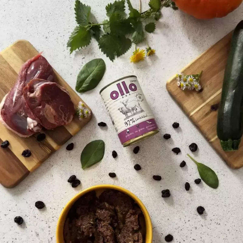 Slapjā suņu barība OLLO Umami Jērs un Liellops 850 g — pieaugušiem suņiem, bez graudiem, glutēna un sojas
