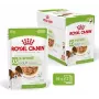 Royal Canin X-Small Adult mitrā barība suņiem, 12 x 85 g