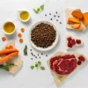 VETEXPERT RAW PALEO Ultra Mini Adult ar liellopa gaļu, sausā suņu barība, 2 kg
