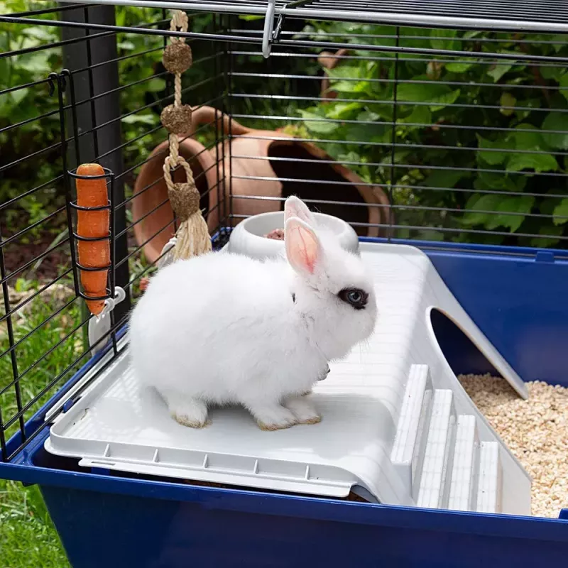 Būris FERPLAST Rabbit 120 Blue — metāla un plastmasas trušu būris 1180×585×495 mm, trušiem 5–9,9 kg