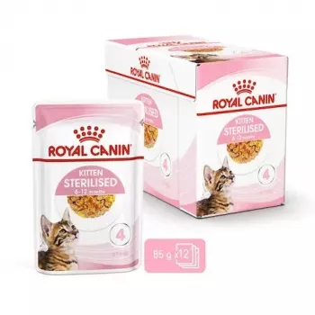 Slapjā barība kaķiem Royal Canin Feline Health Nutrition Sterilized Chicken 12 x 85 g (Pieaugušais, 1–1.9 kg)