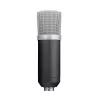 Trust 21753 studijas mikrofons Melns