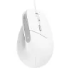 Trust Bayo II vertikālā pele, optiskā, 2400 DPI, USB-A, 6 pogas, balta