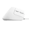 Trust Bayo II vertikālā pele, optiskā, 2400 DPI, USB-A, 6 pogas, balta