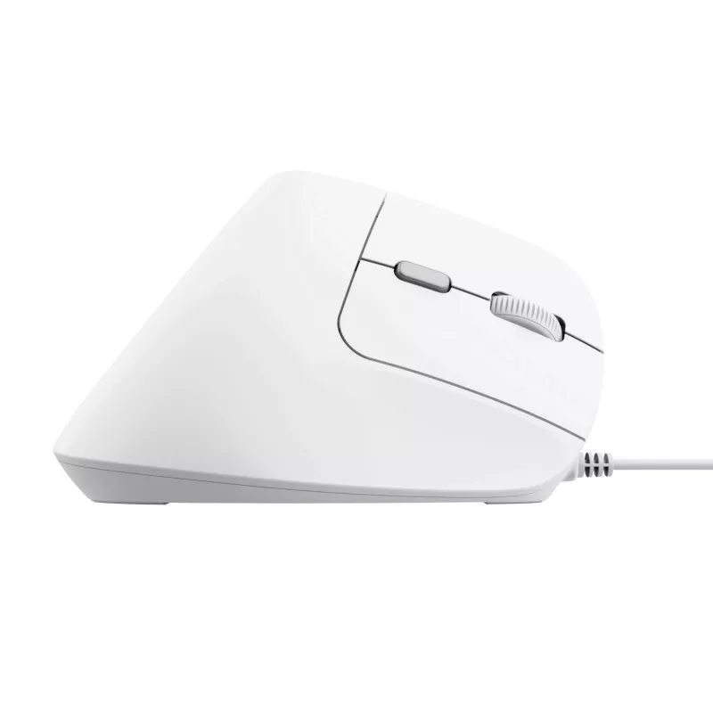 Trust Bayo II vertikālā pele, optiskā, 2400 DPI, USB-A, 6 pogas, balta
