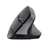 Trust Bayo+ pele Office labā roka RF Bezvadu + Bluetooth Optiskā 2400 DPI