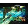 TV Samsung 75 collu Neo QLED QN85F 4K UHD, Neo QLED, 3840×2160, Tizen, Wi‑Fi, HDMI×4, 75 colli (189 cm), Sudrabs