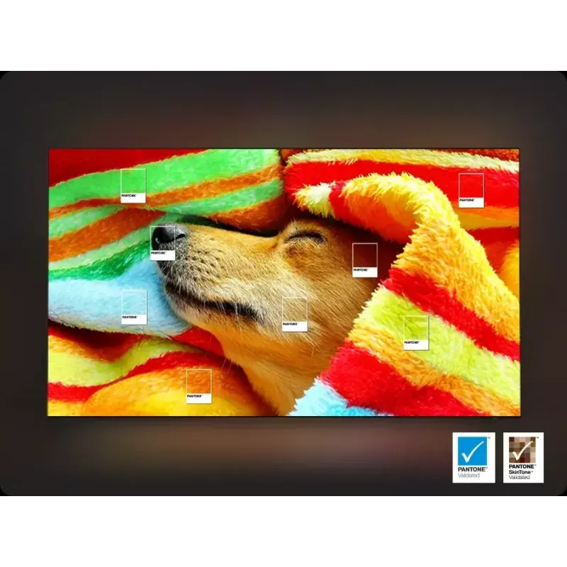 TV Samsung 75 collu Neo QLED QN85F 4K UHD, Neo QLED, 3840×2160, Tizen, Wi‑Fi, HDMI×4, 75 colli (189 cm), Sudrabs