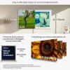 Televizors Samsung QE65LS03FAUXXH 65 collu The Frame QLED 4K HDR Smart TV, 3840×2160, Tizen, 120Hz