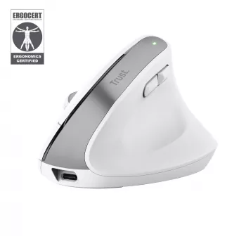 Trust Bayo+ pele Office labā roka RF Bezvadu + Bluetooth Optiskā 2400 DPI