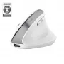 Trust Bayo+ pele Office labā roka RF Bezvadu + Bluetooth Optiskā 2400 DPI