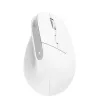 Trust Bayo+ pele Office labā roka RF Bezvadu + Bluetooth Optiskā 2400 DPI