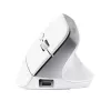 Trust Bayo+ pele Office labā roka RF Bezvadu + Bluetooth Optiskā 2400 DPI