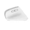 Trust Bayo+ pele Office labā roka RF Bezvadu + Bluetooth Optiskā 2400 DPI