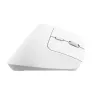 Trust Bayo+ pele Office labā roka RF Bezvadu + Bluetooth Optiskā 2400 DPI