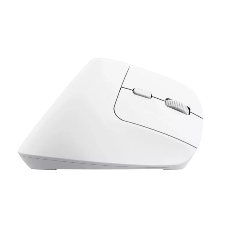 Trust Bayo+ pele Office labā roka RF Bezvadu + Bluetooth Optiskā 2400 DPI