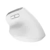Trust Bayo+ pele Office labā roka RF Bezvadu + Bluetooth Optiskā 2400 DPI