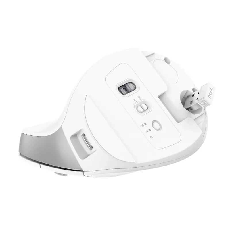 Trust Bayo+ pele Office labā roka RF Bezvadu + Bluetooth Optiskā 2400 DPI