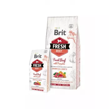 Brit Fresh Beef with Pumpkin Puppy Large Bones & Joints 12 kg