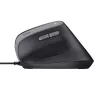 Trust Bayo II pele labai rokai USB Type-A 2400 DPI
