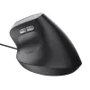 Trust Bayo II pele labai rokai USB Type-A 2400 DPI